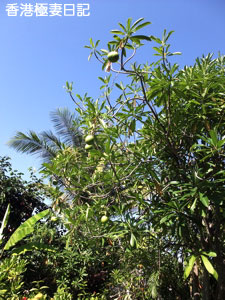 f0190653_14551427.jpg