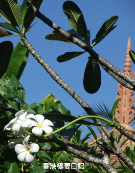 f0190653_14553753.gif