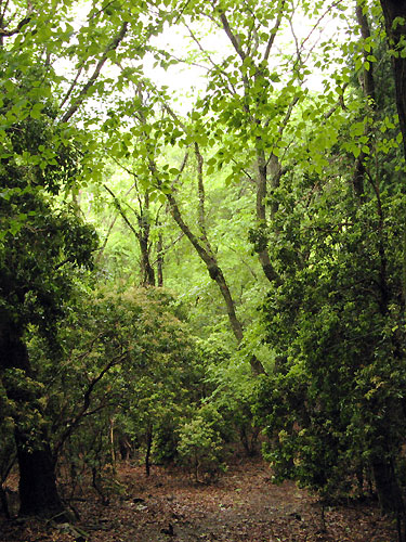 f0007956_944263.jpg