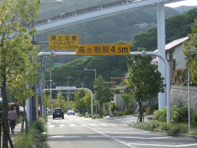 b0095061_8591169.jpg