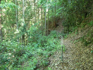 e0066062_2156685.jpg