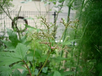 c0186463_23395088.jpg