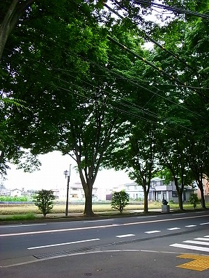 b0180764_15363333.jpg