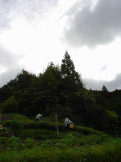 f0055264_052159.jpg