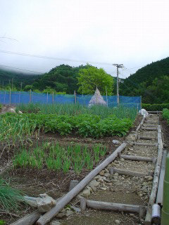 f0055264_135667.jpg