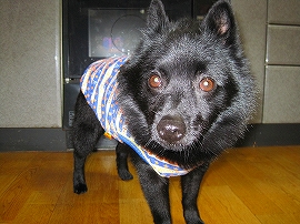 e0002466_20323433.jpg