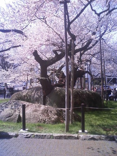 e0004173_10472799.jpg