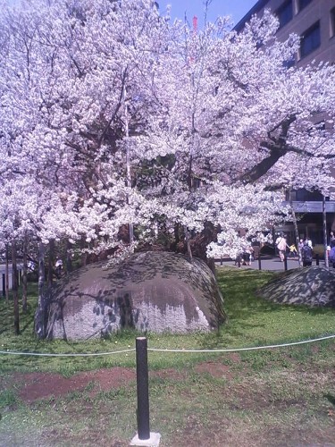 e0004173_10473489.jpg