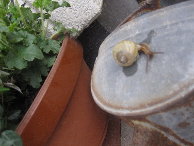 c0208974_015913.jpg