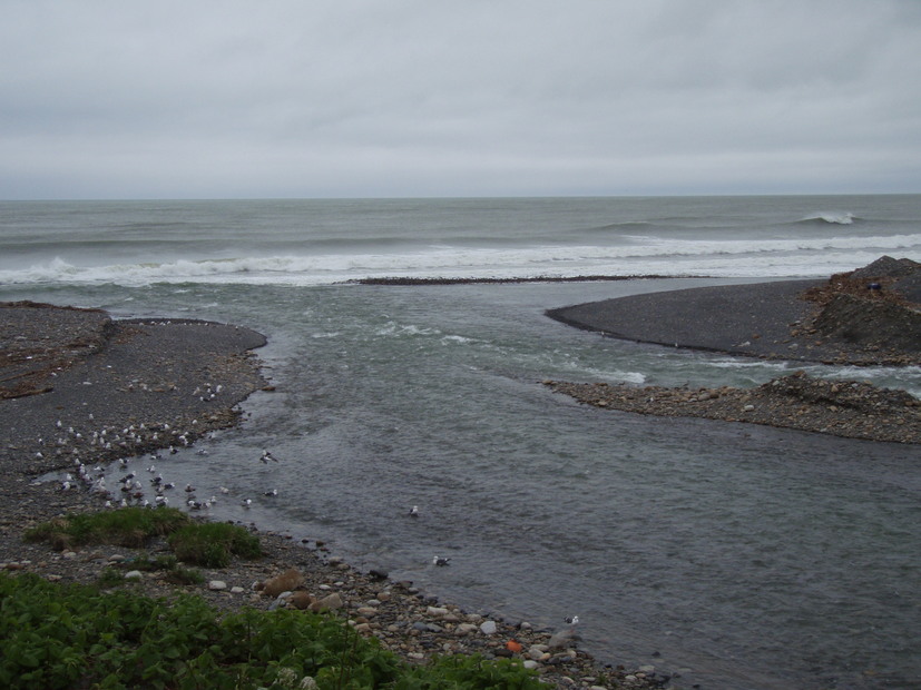 a0169776_11273666.jpg