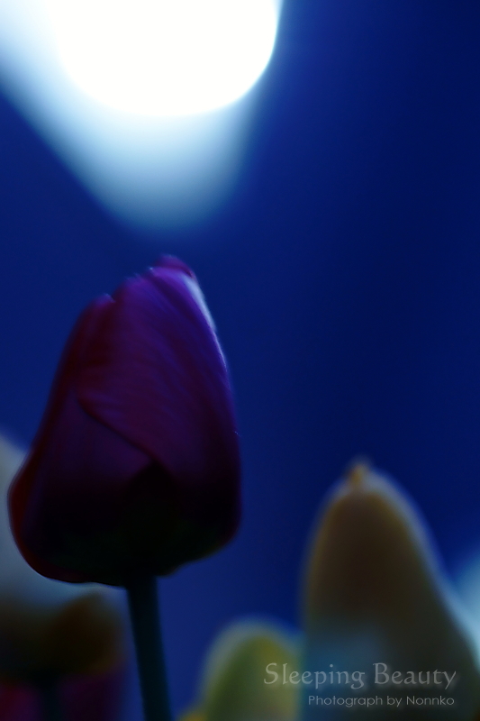 c0106977_0171635.jpg