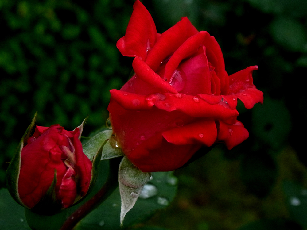 e0015377_14284939.jpg