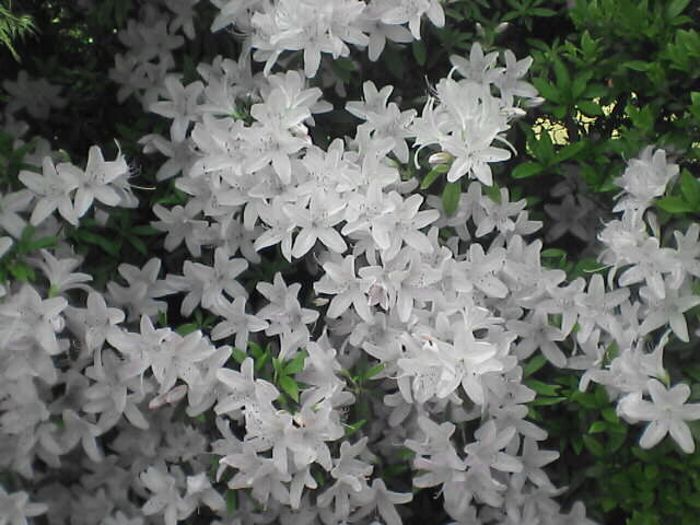 c0069380_20295342.jpg