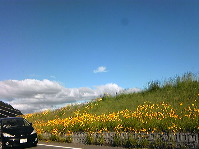 c0107180_2091623.jpg