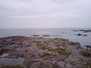 f0048182_2224546.jpg