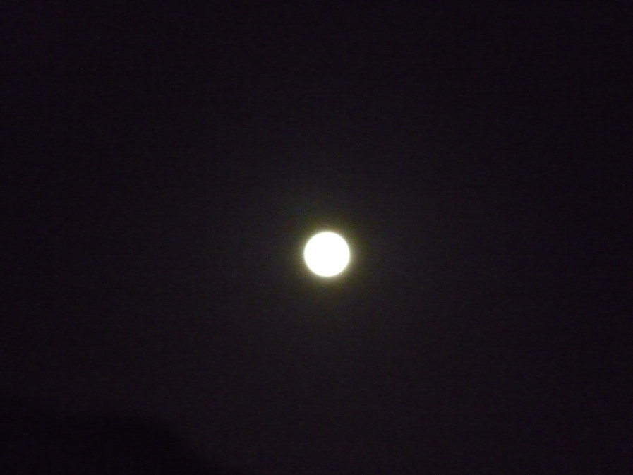 f0221382_2181163.jpg