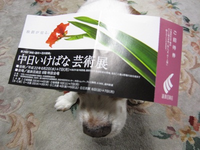 e0121583_21291235.jpg