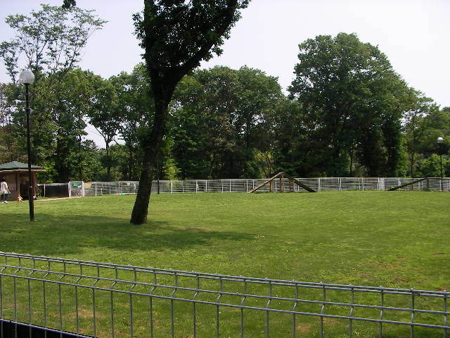 c0214384_13451820.jpg