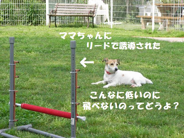 c0214384_1410287.jpg