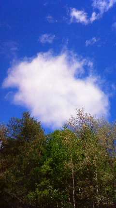 a0130586_195827.jpg