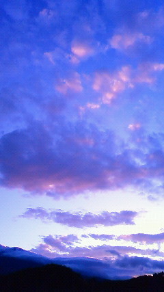 a0130586_20204328.jpg