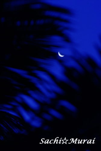 c0073387_9563158.jpg