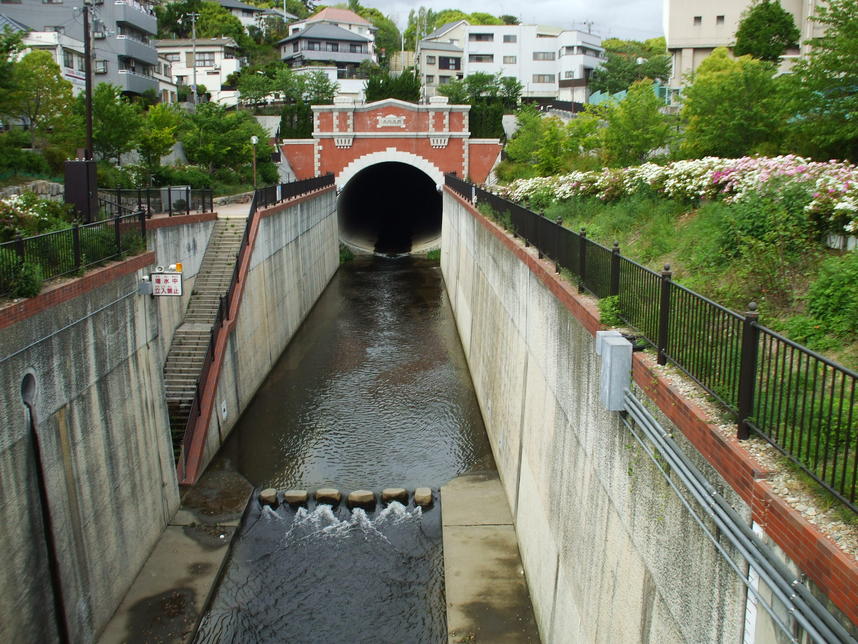 f0222687_20332969.jpg
