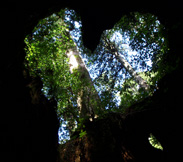 c0018489_23521868.jpg