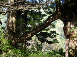 c0018489_2356187.jpg