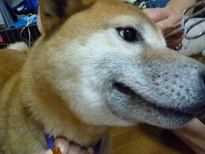 c0123890_2115969.jpg