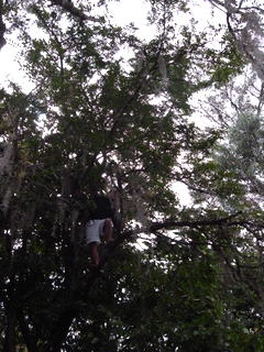 a0137192_014457.jpg