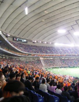 f0165392_23111381.jpg