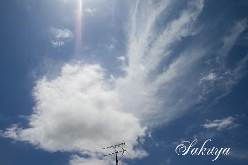 e0122194_131502.jpg