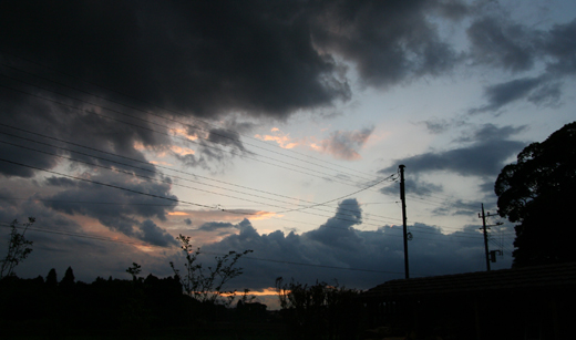 d0100095_1853414.jpg