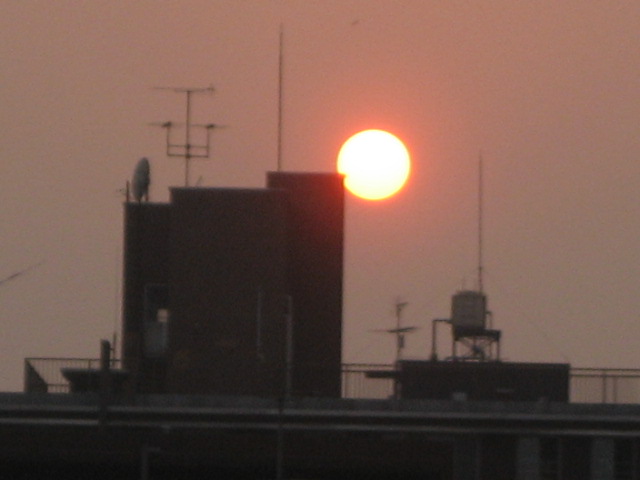 d0157596_196449.jpg