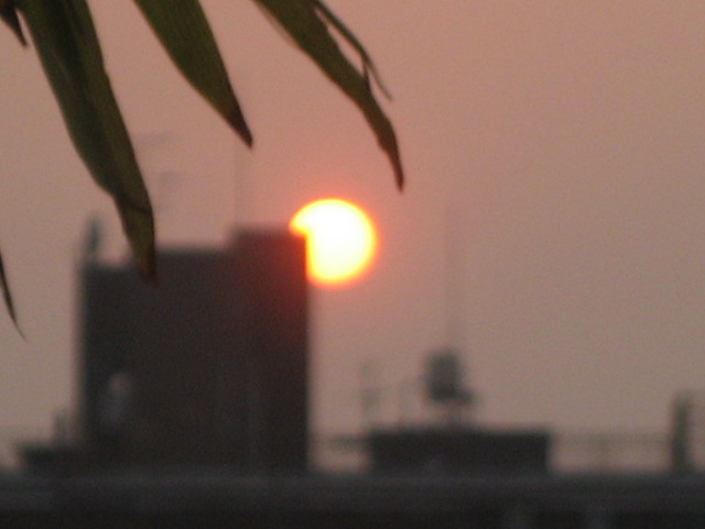 d0157596_1965931.jpg
