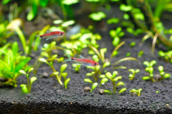 c0225297_3242134.jpg