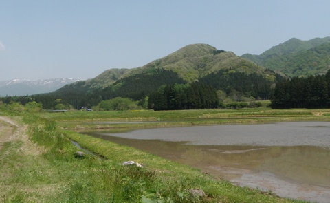 a0138198_13382756.jpg