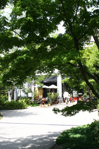 c0129498_23979.jpg