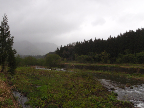 d0156298_028939.jpg