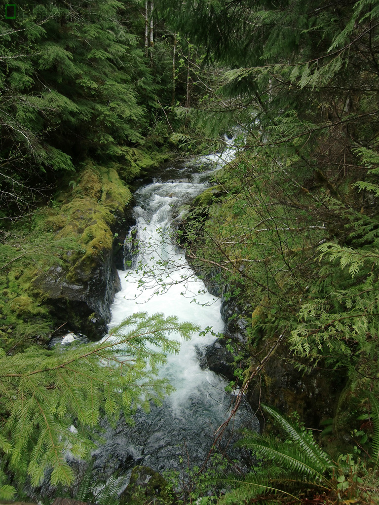 c0080101_17125795.jpg