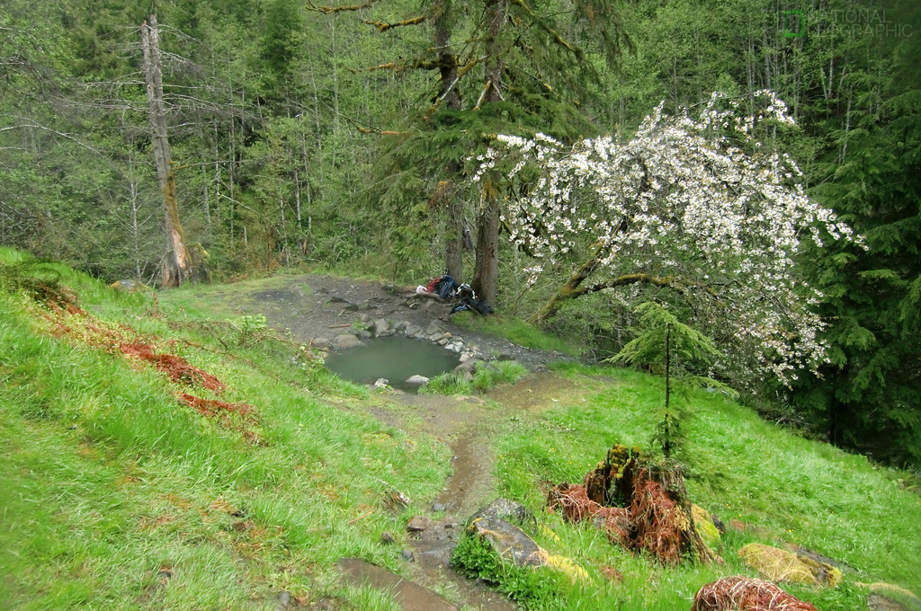 c0080101_17133750.jpg