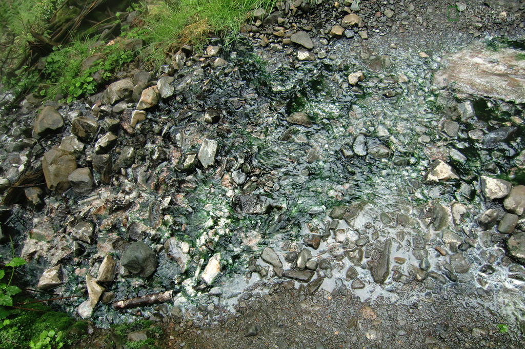 c0080101_1713979.jpg