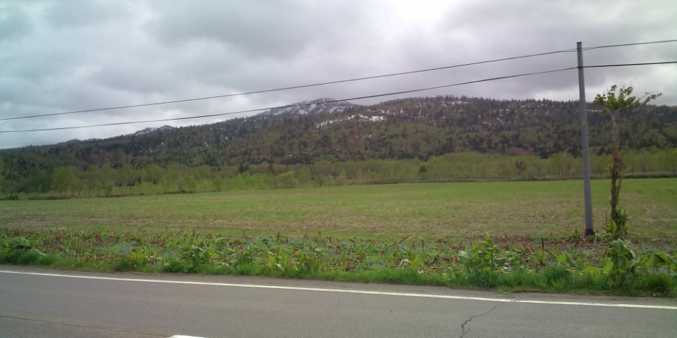 e0126302_215518.jpg