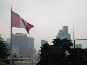 d0078311_1143319.jpg