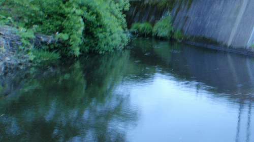 a0079614_14191780.jpg