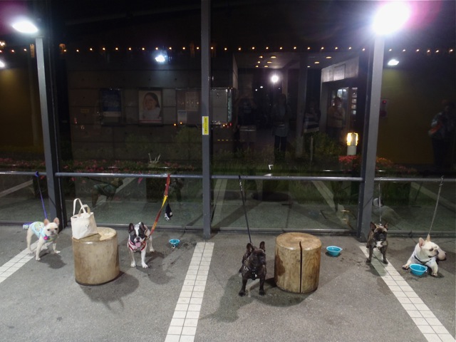 b0143214_22424871.jpg
