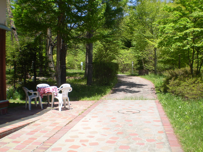 d0166621_14362029.jpg