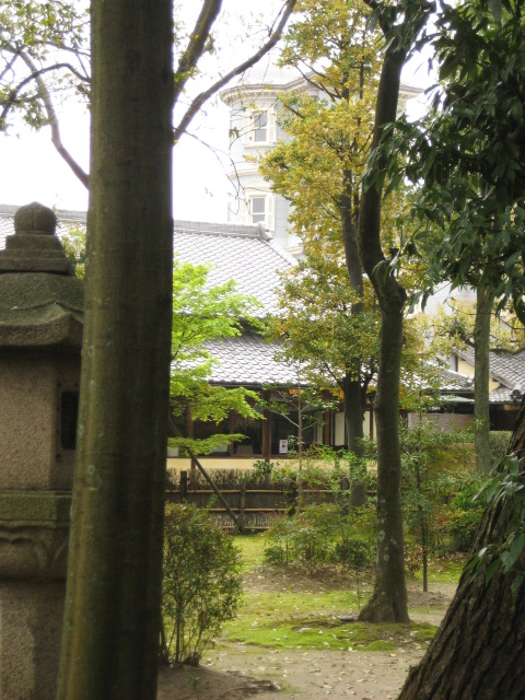 d0147727_20382164.jpg