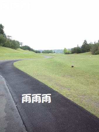 b0127531_19483986.jpg
